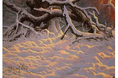 Signature image, click to enlarge