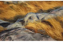 Signature image, click to enlarge