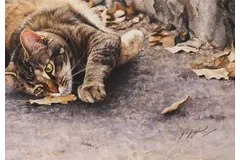 Signature image, click to enlarge