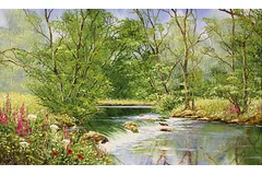 No frame image, click to enlarge