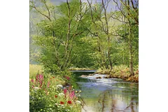 No frame image, click to enlarge