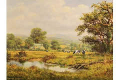No frame image, click to enlarge