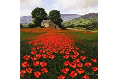 No frame image, click to enlarge