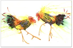 No frame image, click to enlarge