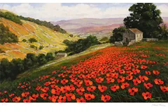 No frame image, click to enlarge