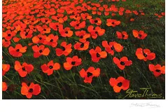 Signature image, click to enlarge
