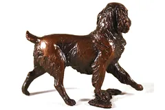 No frame image, click to enlarge