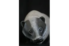 No frame image, click to enlarge