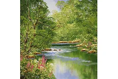 No frame image, click to enlarge
