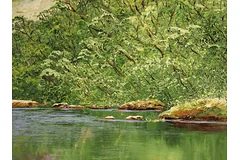 Signature image, click to enlarge