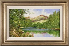 Large image, click to enlarge
