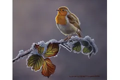 No frame image, click to enlarge