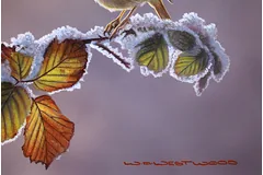 Signature image, click to enlarge