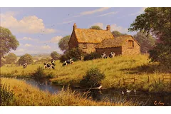 No frame image, click to enlarge