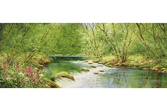 No frame image, click to enlarge