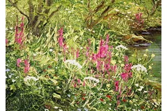 Signature image, click to enlarge