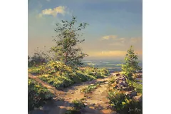 No frame image, click to enlarge