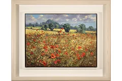 Large image, click to enlarge