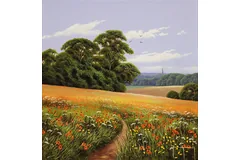 No frame image, click to enlarge
