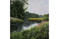 No frame image, click to enlarge