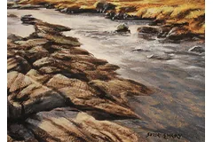 Signature image, click to enlarge