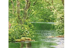 Signature image, click to enlarge