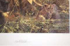 Signature image, click to enlarge