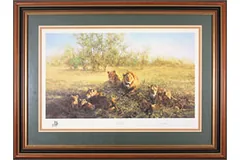 Large image, click to enlarge