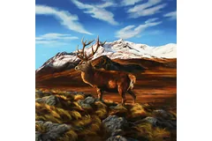 No frame image, click to enlarge