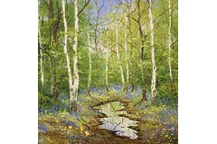 No frame image, click to enlarge