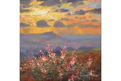 No frame image, click to enlarge