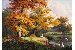 No frame image, click to enlarge