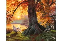 No frame image, click to enlarge