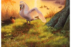 Signature image, click to enlarge