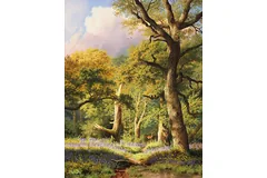 No frame image, click to enlarge
