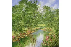 No frame image, click to enlarge