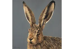 No frame image, click to enlarge