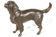 Large image, click to enlarge