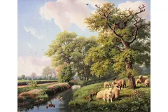 No frame image, click to enlarge