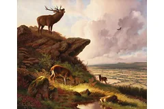 No frame image, click to enlarge
