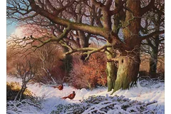 No frame image, click to enlarge