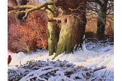 Signature image, click to enlarge