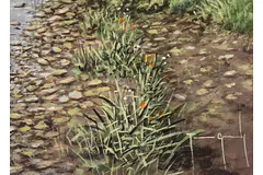 Signature image, click to enlarge