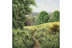 No frame image, click to enlarge