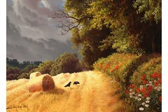 No frame image, click to enlarge