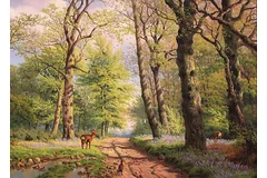 No frame image, click to enlarge