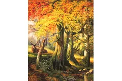 No frame image, click to enlarge