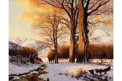 No frame image, click to enlarge