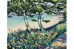 No frame image, click to enlarge