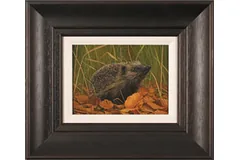 Large image, click to enlarge